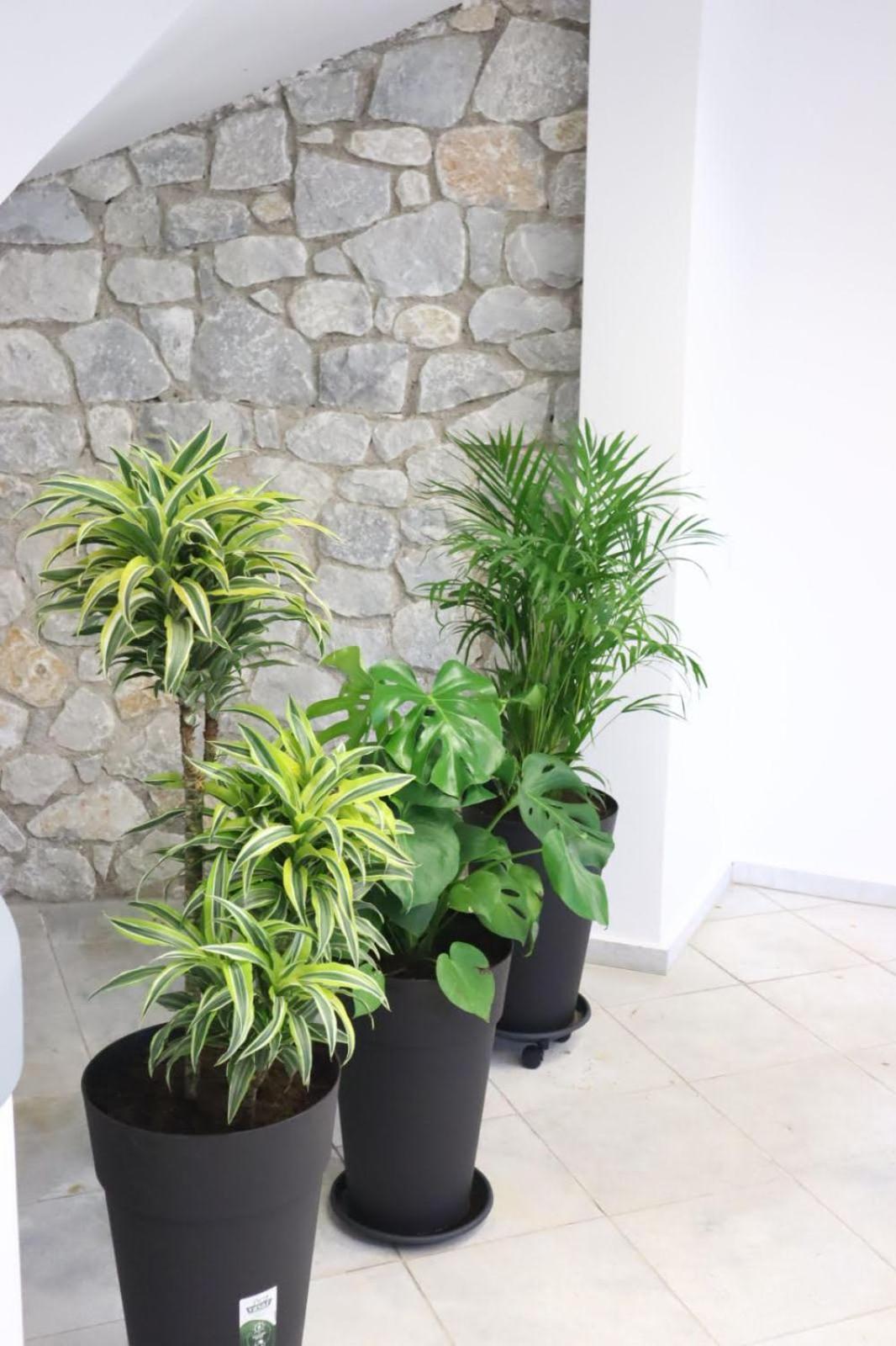 Eva'S Luxury Apartments No 2 Agios Spyridon  Bagian luar foto